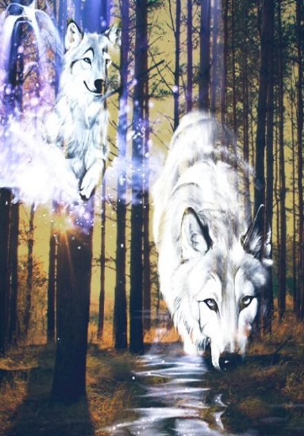 Große Wolf Wand Bilder